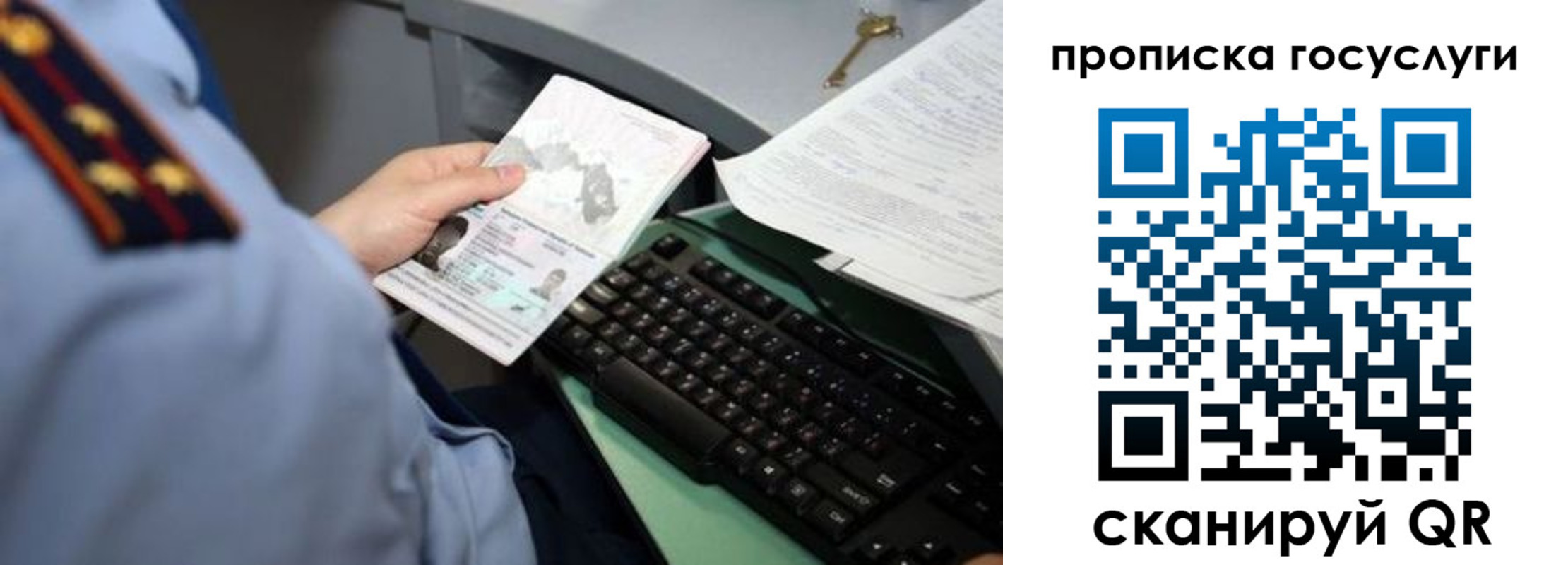 прописка в Кольчугино